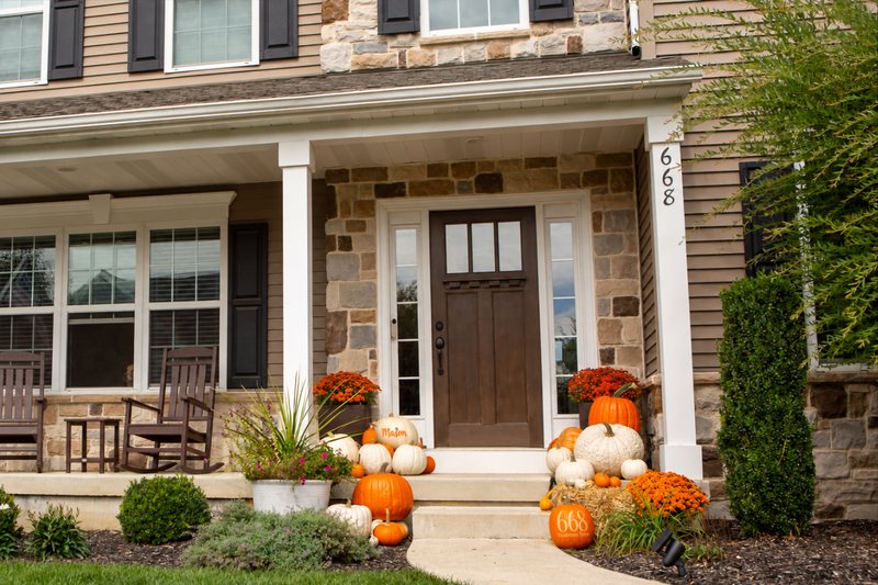 Bi-color: Orange and white pumpkins mixed together for a modern look.