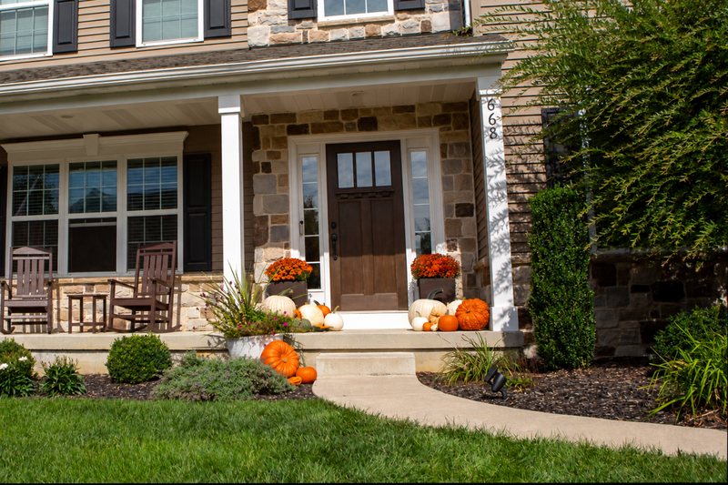 Bi-color: Orange and white pumpkins mixed together for a modern look.